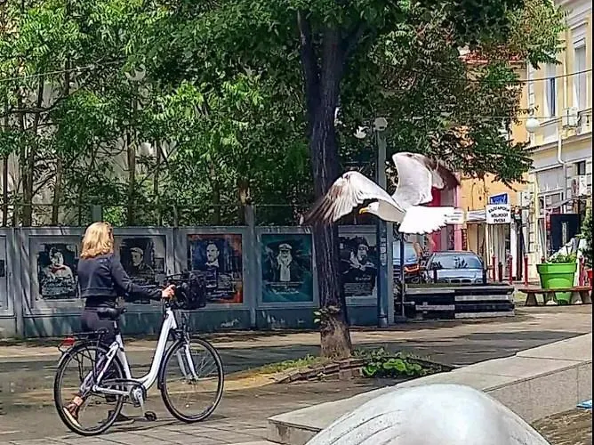 център Апартамент Бургас